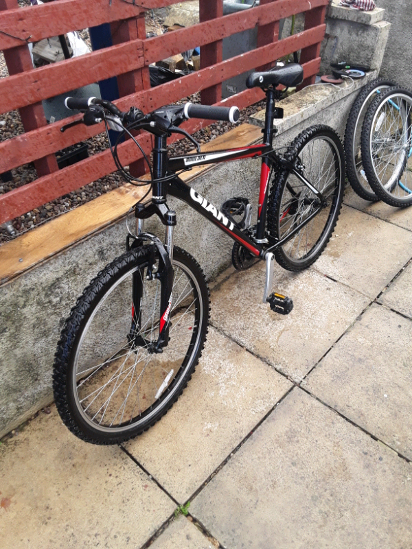 gumtree giant mountain bike
